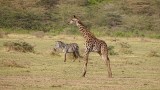 Lake Manyara National Park