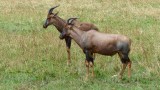 Serengeti National Park