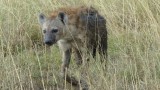 Serengeti National Park