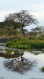 Serengeti National Park