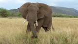 Serengeti National Park