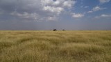 Serengeti National Park