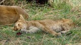 Serengeti National Park