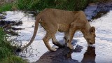 Serengeti National Park