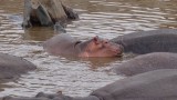 Serengeti National Park