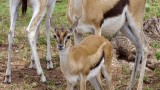 Serengeti National Park