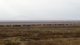 Ngorongoro Crater