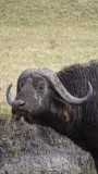 Ngorongoro Crater