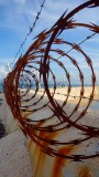 Rusty Beach Barbed Wire