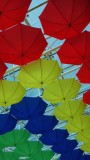 Lulu Mall Umbrellas
