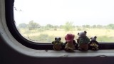 The Pandafords looking out at the Rajasthan countryside