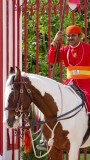 Udaipur City Palace Guard