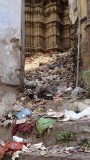 Udaipur Alley with Garbage