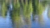 Rouge River Reflections