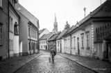 A Quiet Walk with a Friend