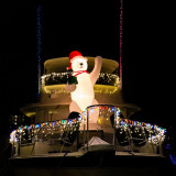 Polar Bear on Yacht