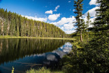 Fir Trees n Sky Reflect