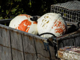 Crab Buoys