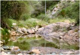 Summer effects in Wadi Ghazzal.jpg