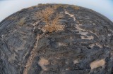 Lava fields around Waaba Crater.jpg