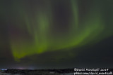Northern lights (Aurora borealis)_Sandvik (Iceland)