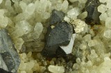 Twinned sphalerite (Fe-rich) to 3cm with pyrite and quartz, 23 cm. 600 level, Wheal Jane Mine, Cornwall. Published specimen.