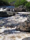 Machias River Falls