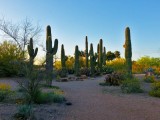 A Nature Park Outside of Phoenix