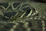 Universeum, Göteborg/Sweden