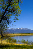 The Sangre de Cristo Range from Alamoosa Wildlife Refuge