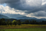 Sunlight on a Distant Field 