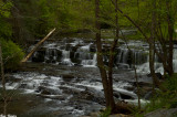 Spring Comes to the Cascades