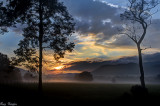 Early in Cades Cove