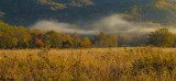 Across an Autumn Meadow