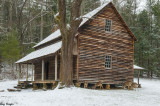 Deer Gathering Salt at the Tipton Place 