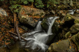 A Small Drop on a Small Stream