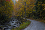 Autumn on a Foggy, Rainy Day 