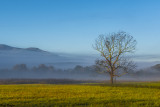 Watching the Fog Burn Off