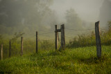 Fence Line on a Small Hill 