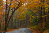 The Open Road