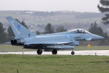 TyphoonFGR4_ZK317_ADXSmall.jpg