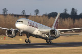 B787_A7BCA_EDILarge2.jpg