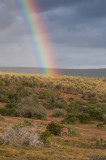 Addo Rainbow