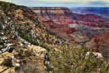 IMG_9463.jpg