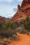 IMG_9533.jpg