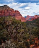 IMG_9550.jpg