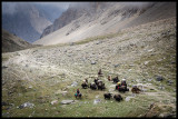 Yak herders below Bagala La