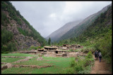 Khyaru
