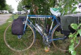 Un autre ami randonneur, au camping de Nuit-St-Georges.