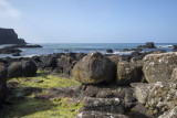 Giant Causeway